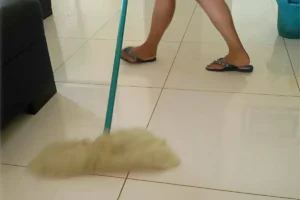 limpador de piso